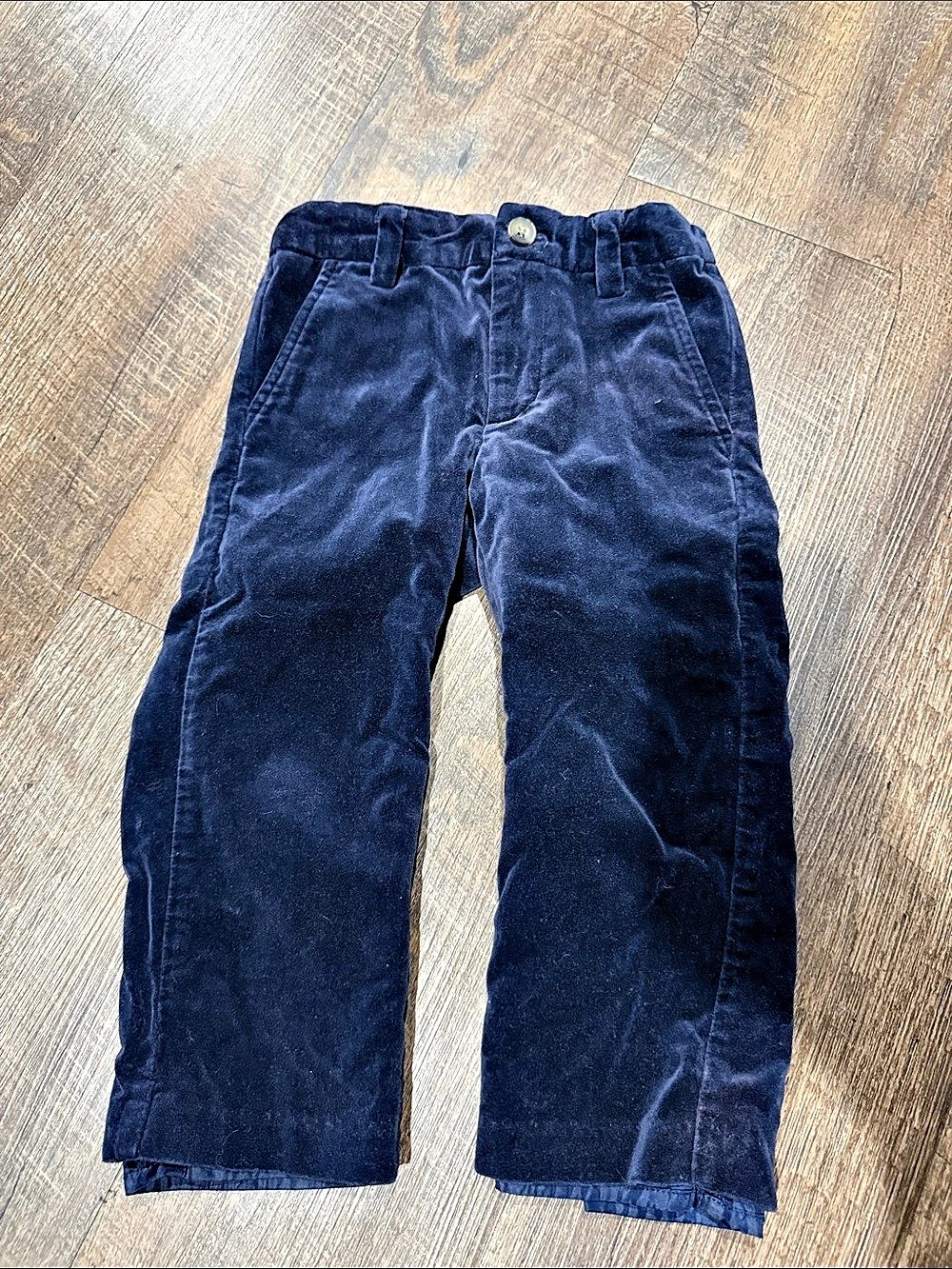 Janie and jack boys 2T Blue velvet dress Pants